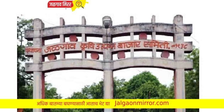 जळगाव बाजार समितीत महाविकास आघाडीचा डंका !