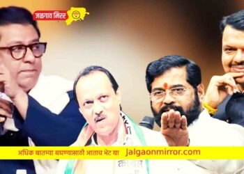 मुख्यमंत्री शिंदे जरा जपून तर अजित पवार काकांकडे लक्ष द्या !