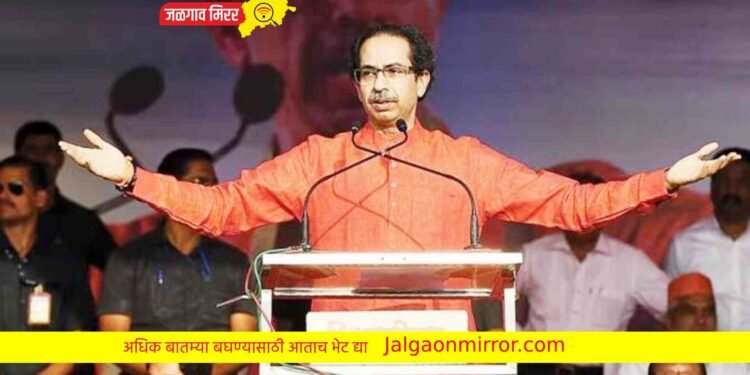 जिल्ह्यात रंगणार भावा-बहिणीचे राजकारण ; ठाकरेंच्या सभेकडे जनतेचे लक्ष !