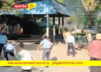 ब्रेकिंग : छत्तीसगडमध्ये नक्षलवाद्यांनी केला मोठा हल्ला ; ११ जवान शहीद !