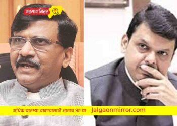 राऊतांच्या धमकी प्रकरणी फडणवीस यांची प्रतिक्रीय ; संशयित पकडला पण तो…