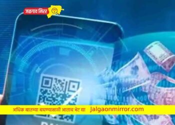 RBI चा मोठा निर्णय : आता गुगल पे व फोन पेमध्ये पैसे नसतानाही खर्च करता येणार पैसे !