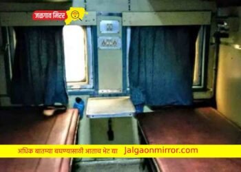 प्रवासात खासदाराला एक डास चावल्याने…रेल्वेच थांबविली !