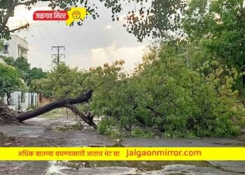 जळगावात अवकाळी पावसाने झाड कोसळले तर रस्त्यावर पाणीच पाणी !