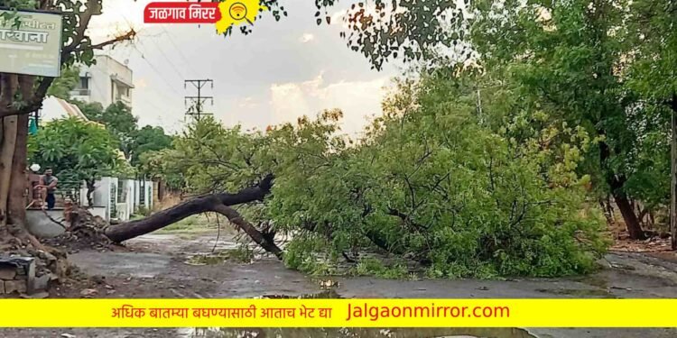 जळगावात अवकाळी पावसाने झाड कोसळले तर रस्त्यावर पाणीच पाणी !