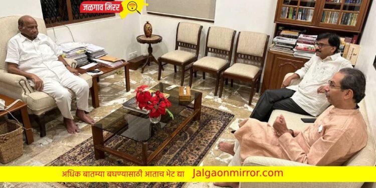 ठाकरेंनी दिला पवारांना नवा प्रस्ताव : राजकारणात दिसणार नवा ट्विस्ट !