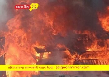 आव्हाणे शिवारात हजारोंचा मक्का खाक !