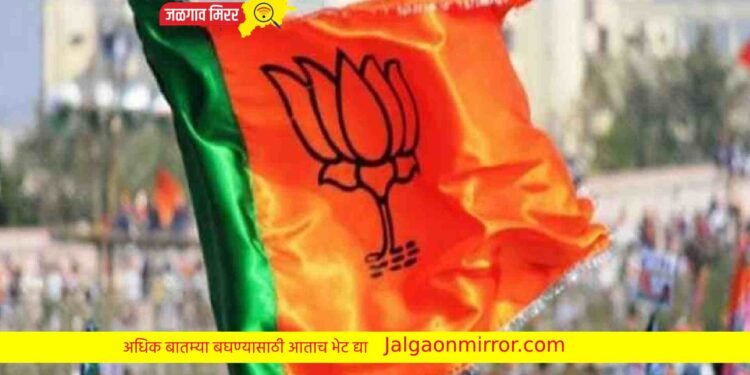 भाजपा स्थापना दिवसानिमित्त झालेल्या निबंध वक्तृत्व स्पर्धेचा निकाल जाहीर !