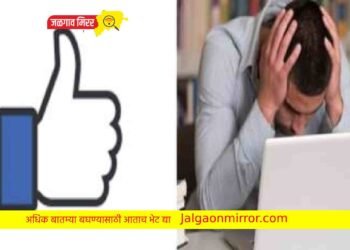 व्हिडीओ लाईक केल्यास मिळणार पैसे ? तरुणाला बसला फटका !