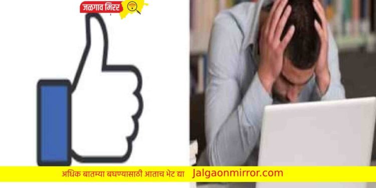 व्हिडीओ लाईक केल्यास मिळणार पैसे ? तरुणाला बसला फटका !