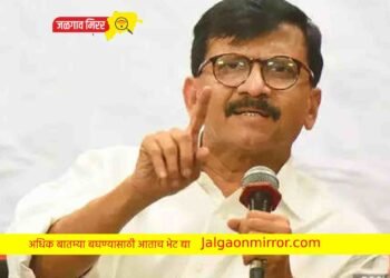 राऊत  खरे बोलले…ठाकरे तोडफोड करून मुख्यमंत्री झाले ; भाजप नेत्याची टीका !