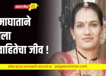 उष्माघाताने घेतला विवाहितेचा जीव !