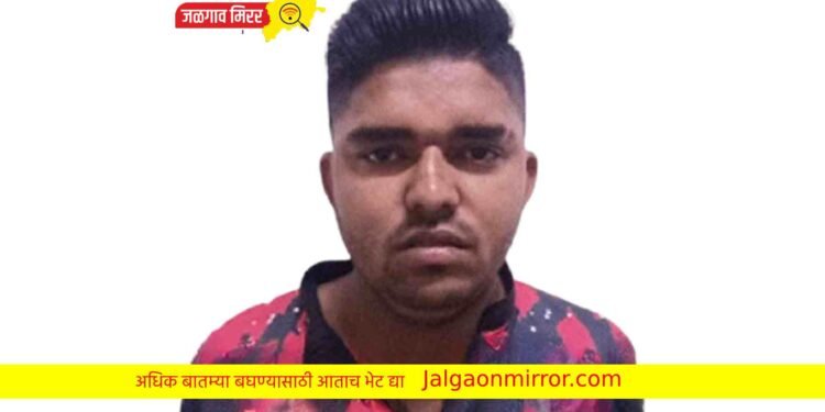 जळगावात मोबाईल चोरटा एलसीबीला सापडला !