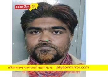 अमळनेरच्या गुन्हेगारावर एमपीडीए !