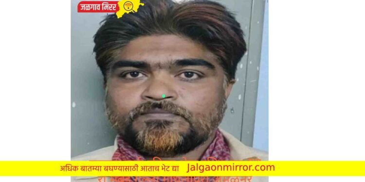 अमळनेरच्या गुन्हेगारावर एमपीडीए !