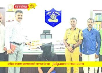 नफा मिळवून देण्याचे आमिष देणाऱ्या ठोकल्या बेड्या !