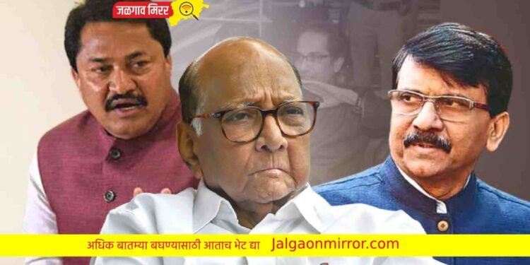 त्या माणसाला? त्यांचा पक्ष त्यांना गांभीर्याने घेत नाही ; राऊतांचा टोला !