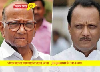 दादांच्या चर्चेवर शरद पवार स्पष्टच बोलले !