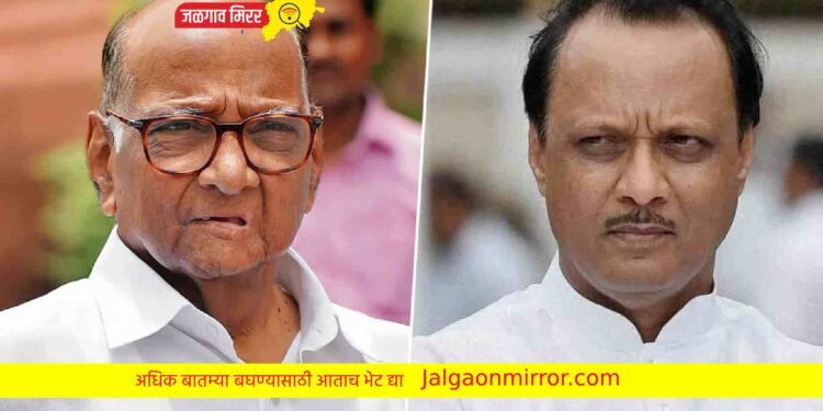 दादांच्या चर्चेवर शरद पवार स्पष्टच बोलले !