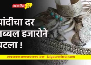 चांदीचा दर तब्बल हजारोने घटला !