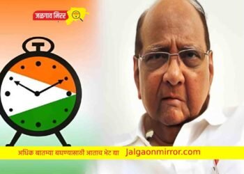 राष्ट्रवादीच्या नव्या अध्यक्षासाठी ही नावे जोरदार चर्चेत !