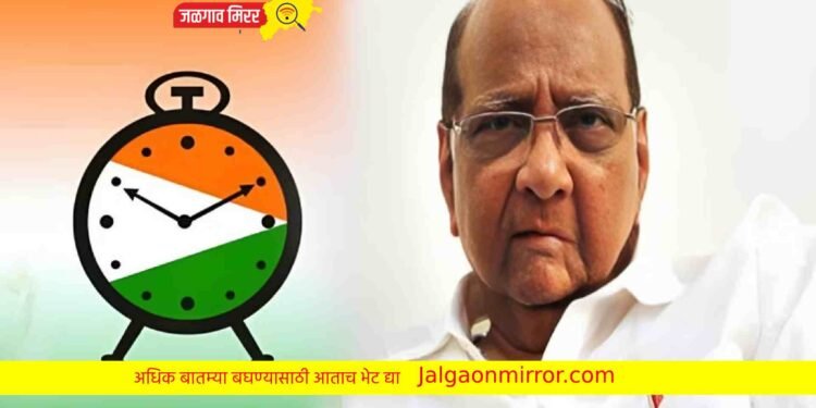 राष्ट्रवादीच्या नव्या अध्यक्षासाठी ही नावे जोरदार चर्चेत !