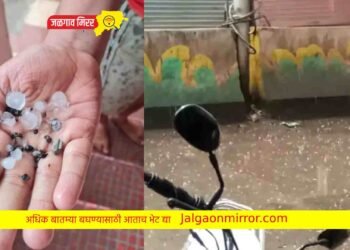 जिल्ह्यात भर दुपारी गारांचा मुसळधार पाऊस !