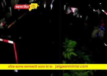 बसचा भीषण अपघात : ३० फुटावरून कोसळली !