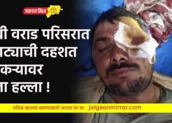 धोबी वराड परिसरात बिबट्याची दहशत ; शेतकऱ्यावर केला हल्ला !
