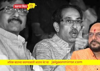 हिंदुत्वासाठी मंत्री पदाचा सट्टा खेळलो : मंत्री पाटलांनी दिली कबुली !