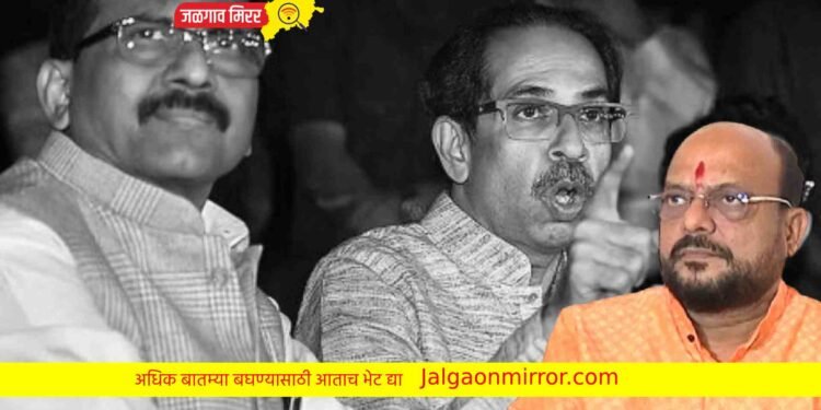 हिंदुत्वासाठी मंत्री पदाचा सट्टा खेळलो : मंत्री पाटलांनी दिली कबुली !