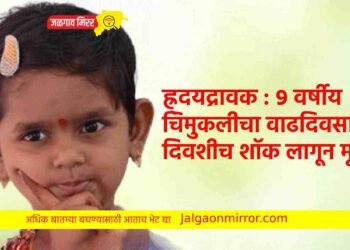 ह्र्दयद्रावक : ९ वर्षीय चिमुकलीचा वाढदिवसाच्या दिवशीच शॉक लागून मृत्यू !