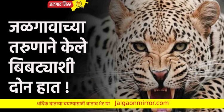 जळगावच्या तरुणाने केले बिबट्याशी दोन हात !
