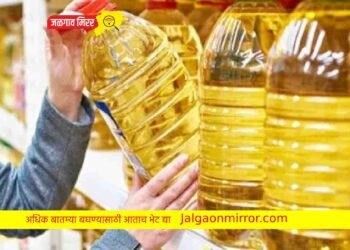जनतेला मोठा दिलासा : खाद्यतेलाच्या किमती मोठी घट !