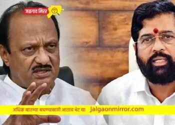 शिंदे सरकार पडणार नाही ; विरोधी पक्षनेते पवार !