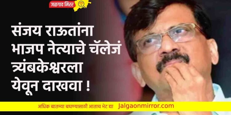 संजय राऊतांना भाजप नेत्याचे चॅलेजं ; त्र्यंबकेश्वरला येवून दाखवा !