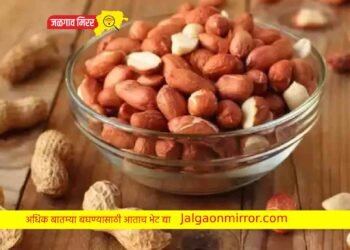 चोरट्यांनी ५ लाखांचे शेगदाणे लांबविले !