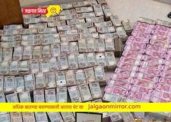 आयकर छापा : झाडावरून पडला पैश्याचा पाऊस !