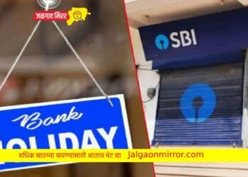 जून महिन्यात इतके दिवस राहणार बँक बंद !