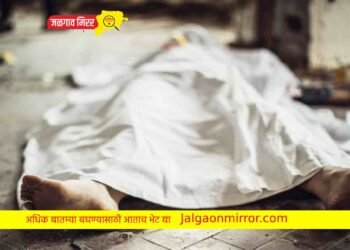 खळबळ : कुजलेल्या अवस्थेत आढळला अनोळखी मृतदेह !