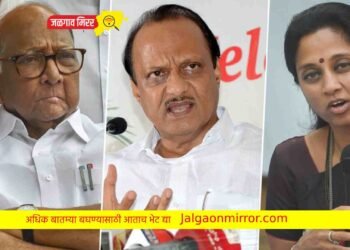 तर मग ठरली तारीख..या दिवशी मिळणार राष्ट्रवादीला नवे अध्यक्ष !