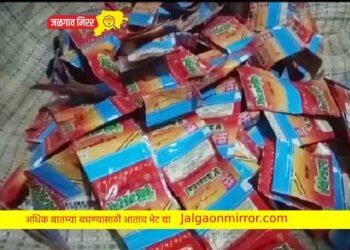 सात लाखांचा गुटखा पोलिसांनी केला जप्त !