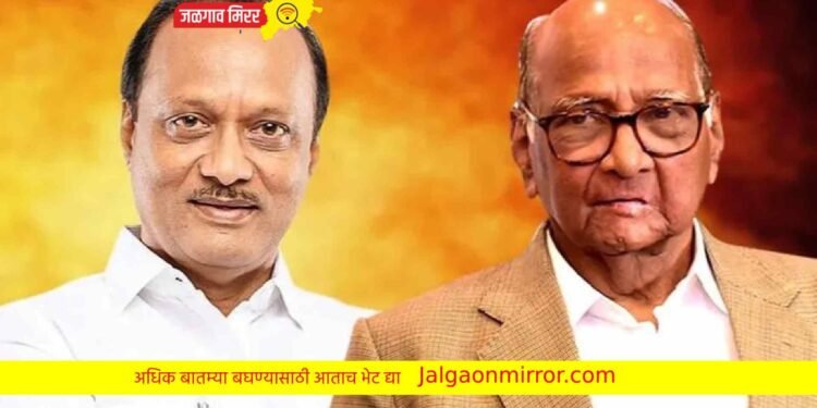 अमळनेरात उद्या होणार नेत्यांचा रोड शो !