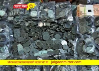 पत्नीला पोटगी म्हणून नवऱ्याने दिले सात पोते नाणी !