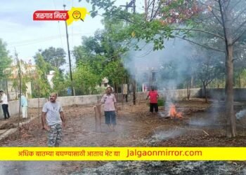 अमळनेरात नागरिकांनी स्वतं पुढे येत केले श्रमदान !