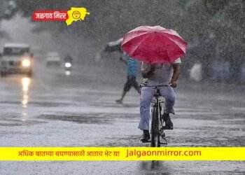 अमळनेर तालुक्यात जोरदार पावसाचे आगमन !