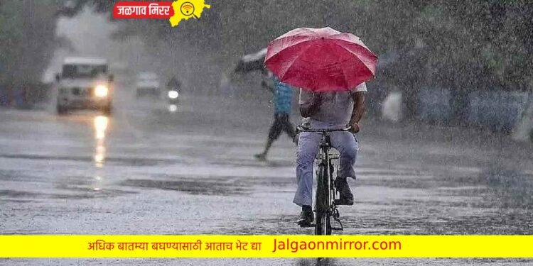 अमळनेर तालुक्यात जोरदार पावसाचे आगमन !