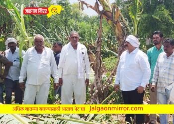 नुकसानग्रस्त भागाचे तात्काळ पंचनामे करा !