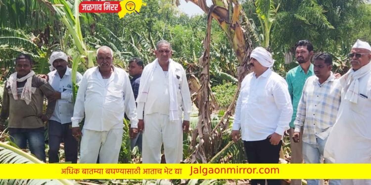 नुकसानग्रस्त भागाचे तात्काळ पंचनामे करा !