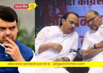 पवारांनी खेळ खेळला ; फडणवीसांचा गौप्यस्फोट !